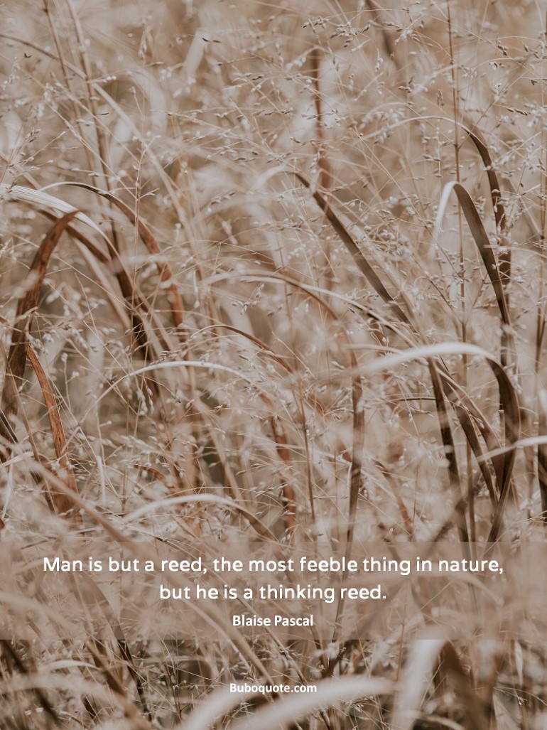 Man is but a reed, the most feeble thing in nature, but he is a thinking reed.