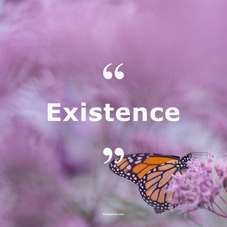 Quotes for: existence
