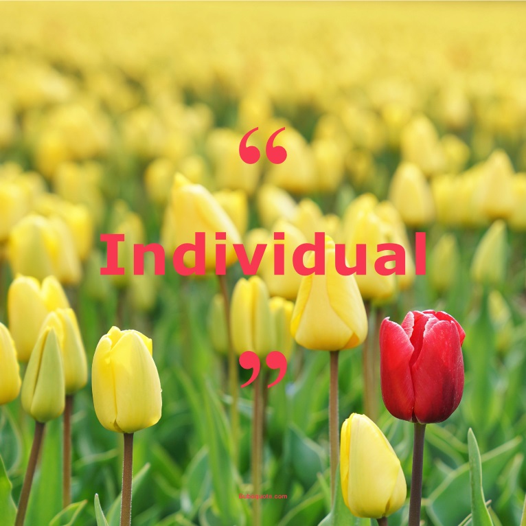 Quotes for: Individual