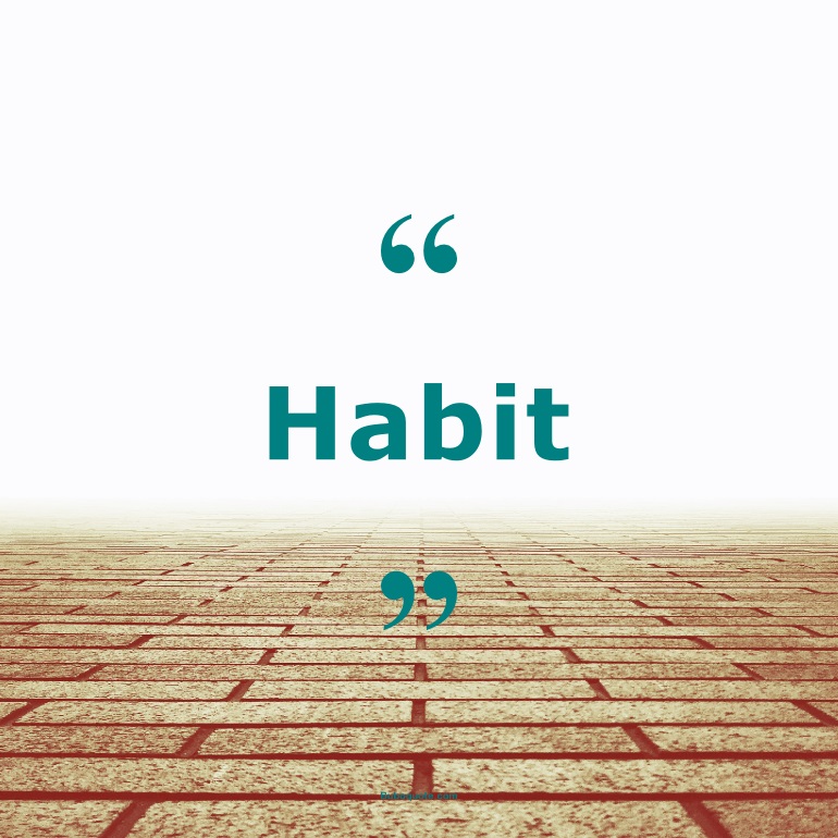 Quotes for: habit