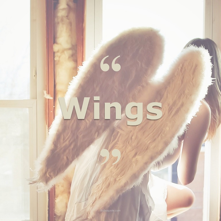 Quotes for: wings