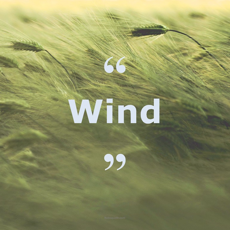 Zitate zum Thema: Wind